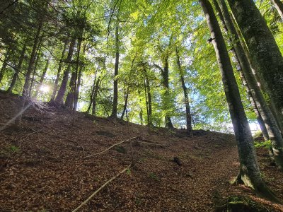 <p>En montant sur la Joux d'Everdes</p>