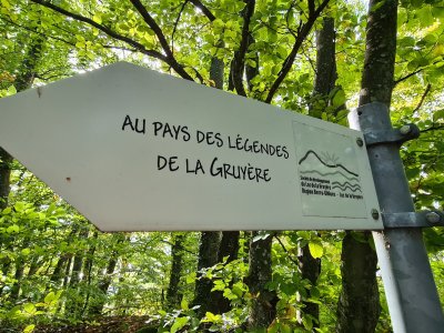 <p>Les panneaux à suivre</p>