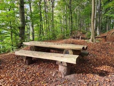 <p>Table de pique-nique, Sur le Mont</p>