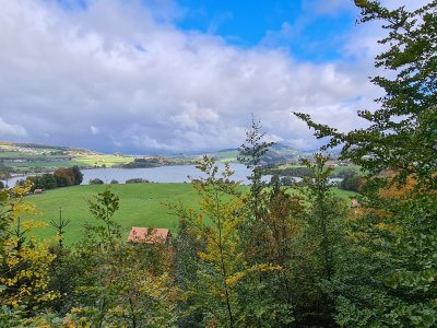 <p>Joli point de vue</p>