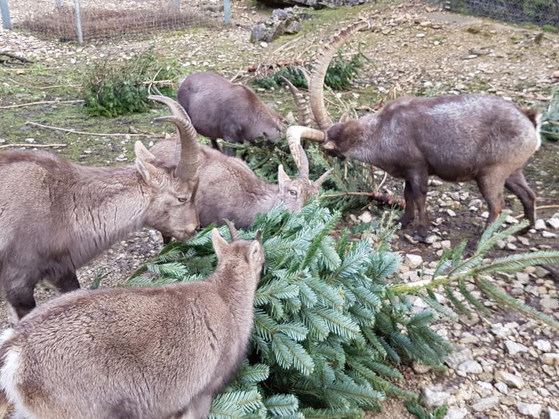 Parc animalier de Bienne