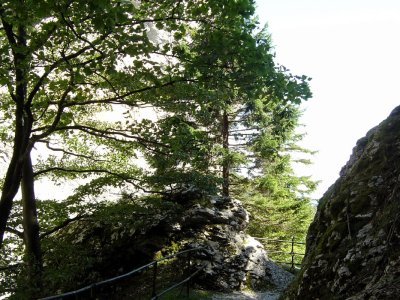 Sentier dans les gorges