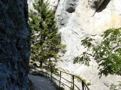 Sentier dans les gorges de Covatannaz