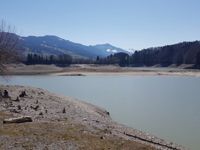 Sur l'île d'Ogoz