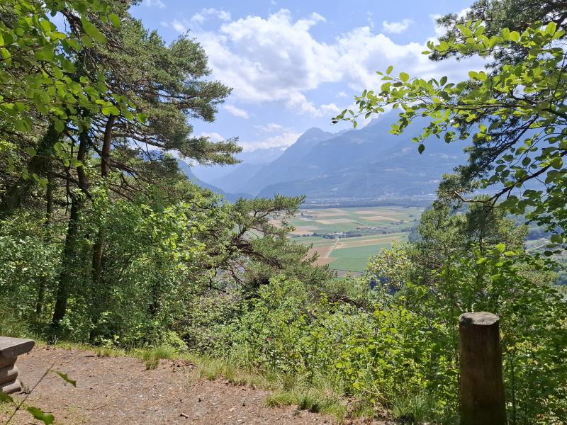 La réserve forestière du Bois de la Glaivaz