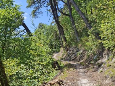 Le sentier de Provence, dans le Bois de la Glaivaz