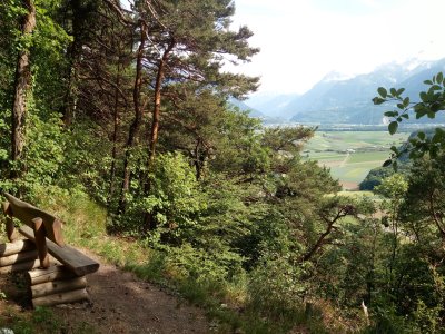 un point de vue