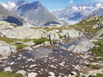 <p>Petit point d'eau le long du chemin</p>
