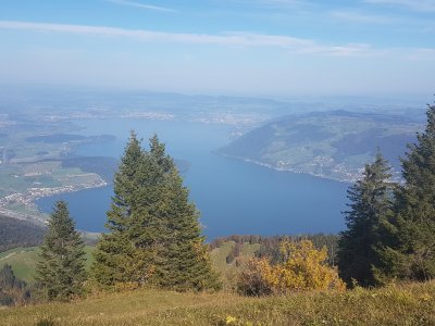 <p>Le lac de Zoug</p>