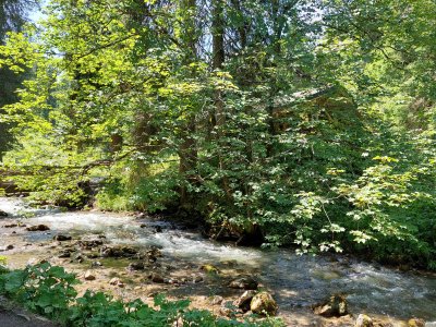 Le sentier apicole longe la Vièze
