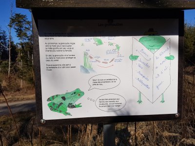 <p>Panneau didactique au bord de l'étang</p>