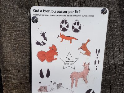 <p>Pour apprendre à reconnaître les traces d'animaux dans la forêt</p>