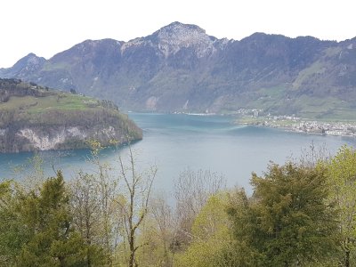 Le lac des Quatre Cantons et Brunnen