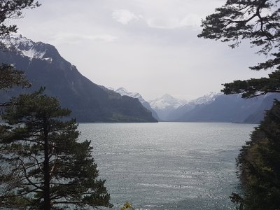 En montant au Grütli, vue plongeante sur le lac des Quatre Cantons