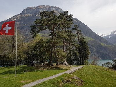 Le sommet de la colline du Grütli / Rütli