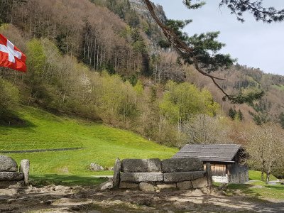 En haut de la prairie du Grütli