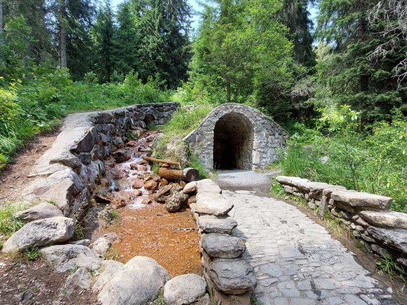 Sources ferrugineuses (Morgins)