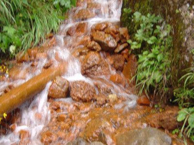 La source ferrugineuse