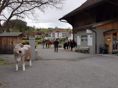 La ferme et ses poneys