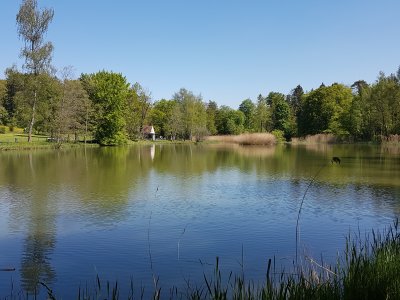 Le Rumensee