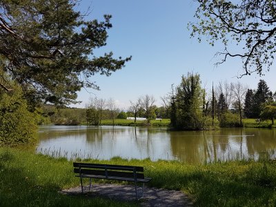 Le Rumensee