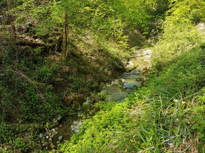 le Stöckentobelbach