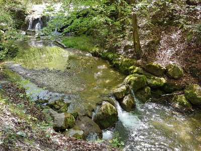 En remontant le Wehrenbach