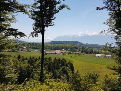 Vue dégagée sur les Alpes