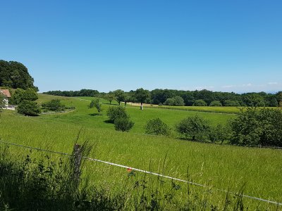 A Vauroux