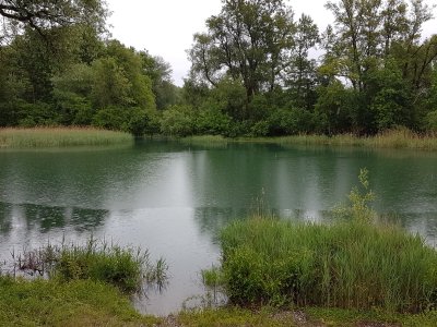 La vieille Aar