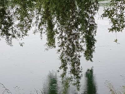 Reflet dans l'Aar
