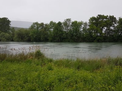 La vieille Aar