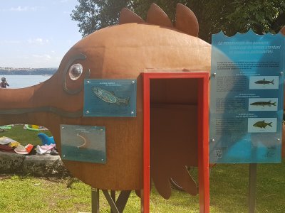Un gros poisson dans lequel rentrer