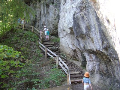 Le début de sentier