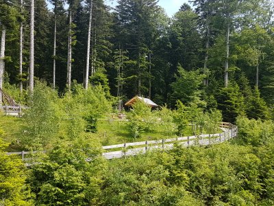 Au fond, une des places de pique-nique