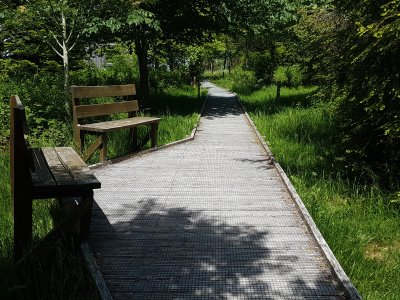 Chemin agréable et bancs