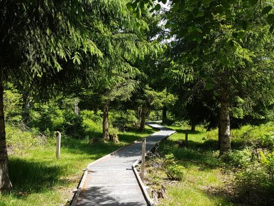 Joli sentier serpentant dans la nature
