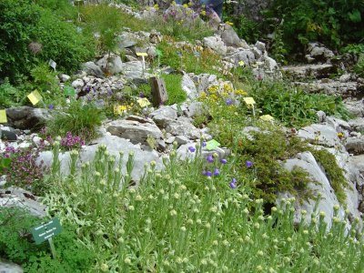 Le jardin alpin La Rambertia