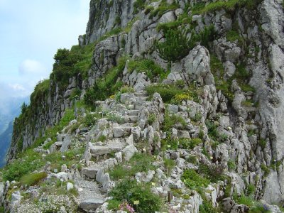 Le jardin alpin La Rambertia