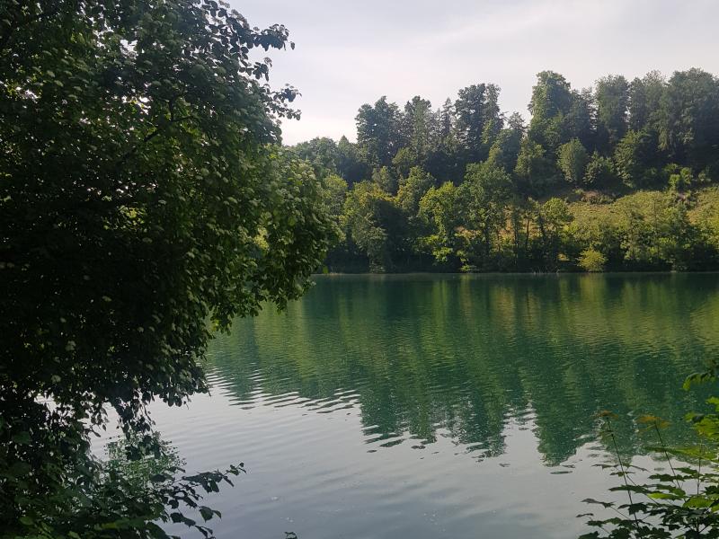 Rotsee
