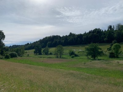 <p>Autour du Rotsee</p>