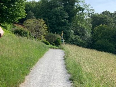 Le chemin le long du Rotsee