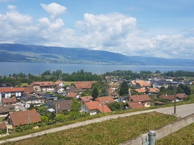 Vue sur le village de Cheyres et le lac de Neuchâtel