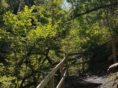 Joli coup dil sur la passerelle