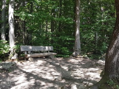 Un des trois bancs, en haut de la montée