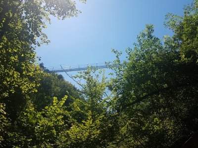 La passerelle des gorges de la Vièze, vue d'en-dessous, en montant le sentier