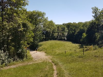 Sur le chemin du retour