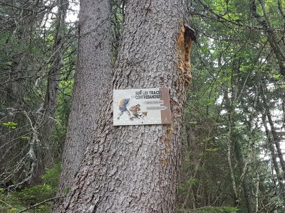 Le sentier se sépare entre sentier famille et sentier randonnée