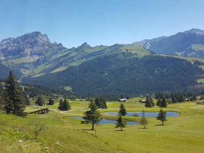 Le golf, aperçu depuis le train