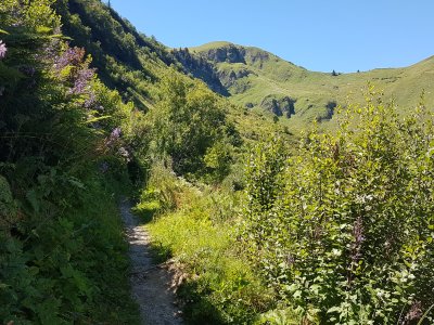 Sentier contournant le lac de Bretaye